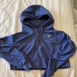 Cropped Gym Shark Hoodie